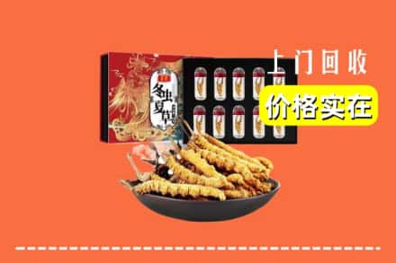 包头市东河回收冬虫夏草