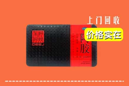包头市东河回收阿胶