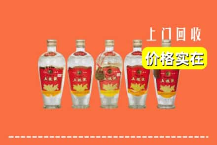 包头市东河回收老五粮液